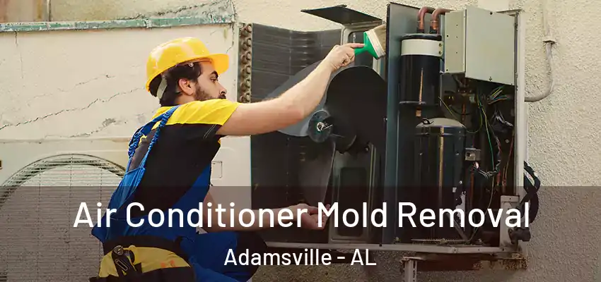  Air Conditioner Mold Removal Adamsville - AL