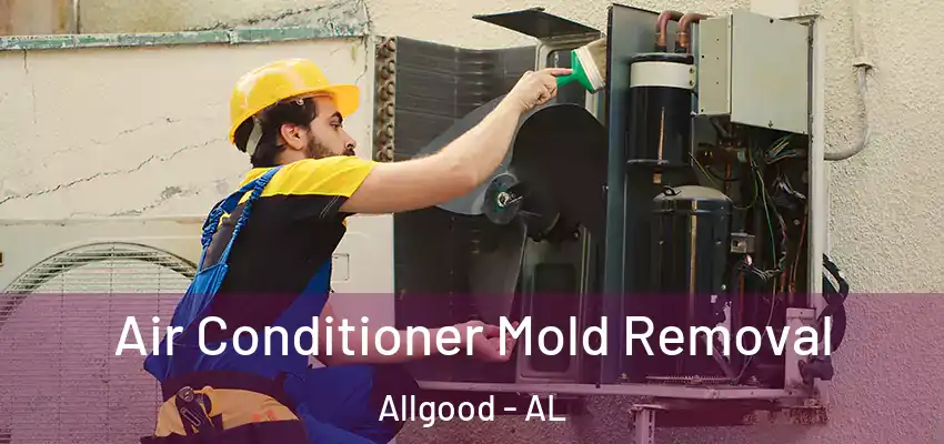  Air Conditioner Mold Removal Allgood - AL