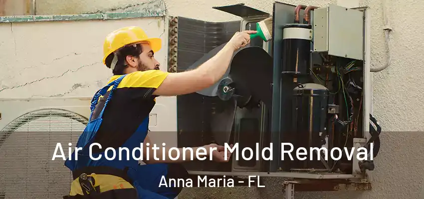 Air Conditioner Mold Removal Anna Maria - FL