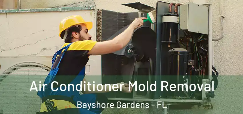Air Conditioner Mold Removal Bayshore Gardens - FL
