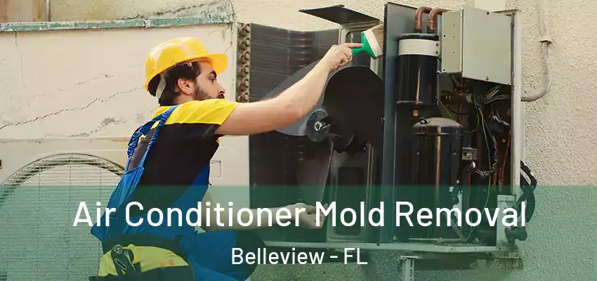  Air Conditioner Mold Removal Belleview - FL