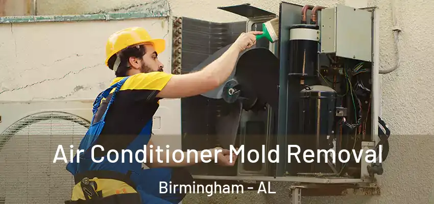  Air Conditioner Mold Removal Birmingham - AL