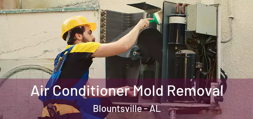  Air Conditioner Mold Removal Blountsville - AL