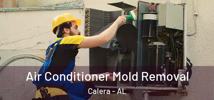  Air Conditioner Mold Removal Calera - AL