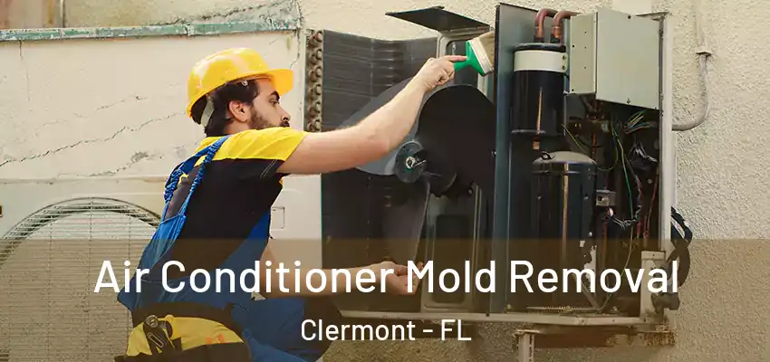  Air Conditioner Mold Removal Clermont - FL