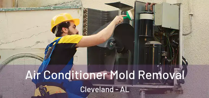 Air Conditioner Mold Removal Cleveland - AL
