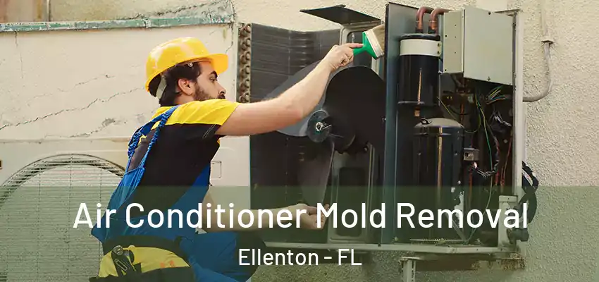  Air Conditioner Mold Removal Ellenton - FL
