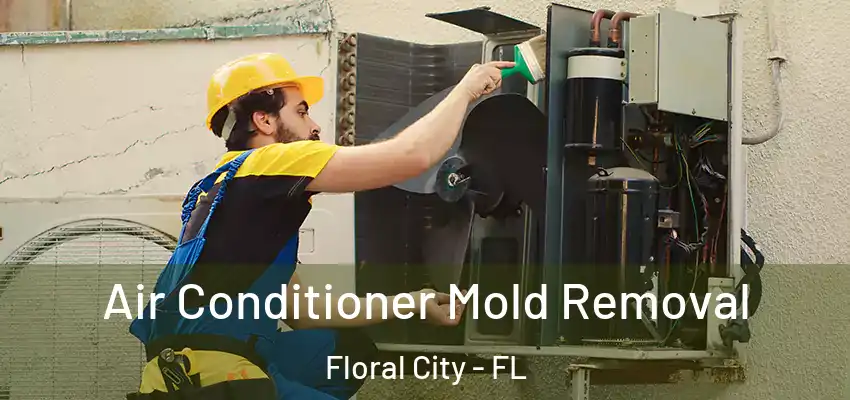  Air Conditioner Mold Removal Floral City - FL