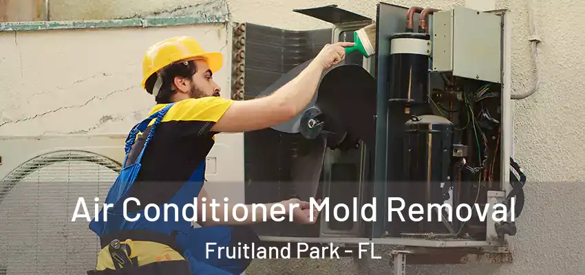  Air Conditioner Mold Removal Fruitland Park - FL