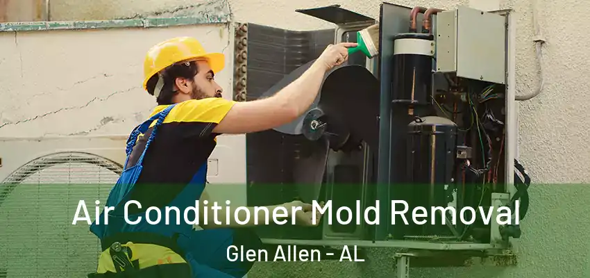 Air Conditioner Mold Removal Glen Allen - AL