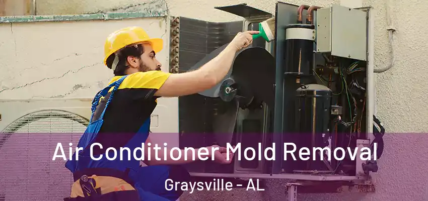  Air Conditioner Mold Removal Graysville - AL