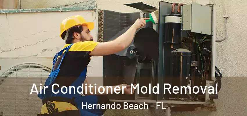  Air Conditioner Mold Removal Hernando Beach - FL
