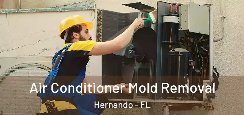 Air Conditioner Mold Removal Hernando - FL