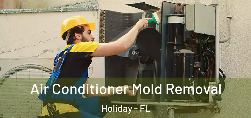 Air Conditioner Mold Removal Holiday - FL