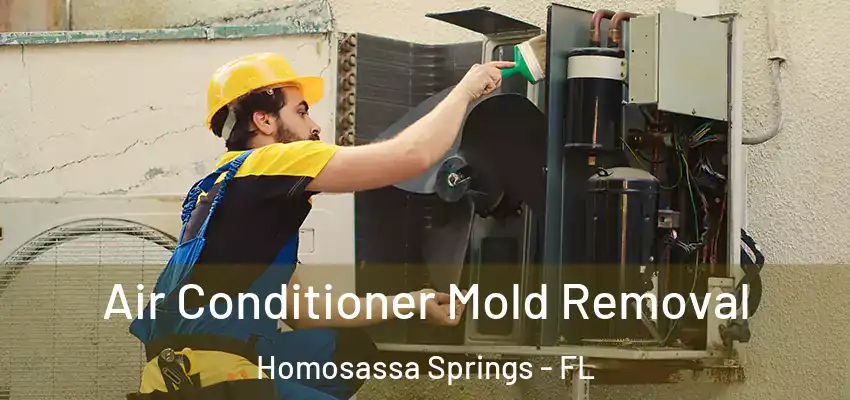  Air Conditioner Mold Removal Homosassa Springs - FL