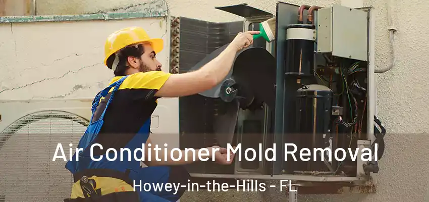 Air Conditioner Mold Removal Howey-in-the-Hills - FL
