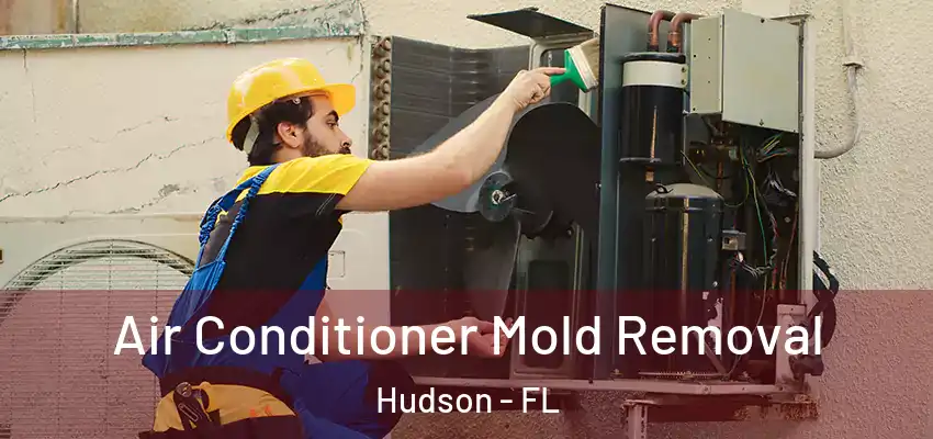  Air Conditioner Mold Removal Hudson - FL