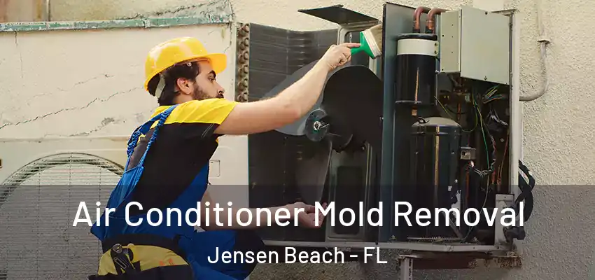  Air Conditioner Mold Removal Jensen Beach - FL