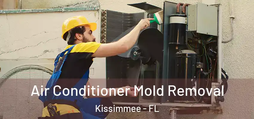 Air Conditioner Mold Removal Kissimmee - FL