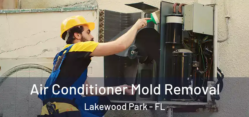  Air Conditioner Mold Removal Lakewood Park - FL