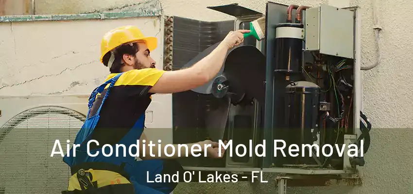  Air Conditioner Mold Removal Land O' Lakes - FL