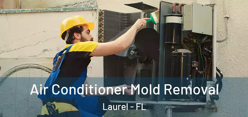  Air Conditioner Mold Removal Laurel - FL