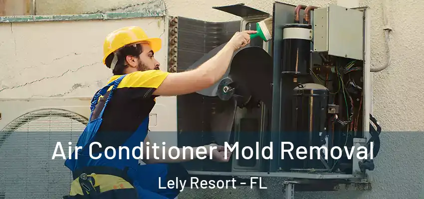  Air Conditioner Mold Removal Lely Resort - FL