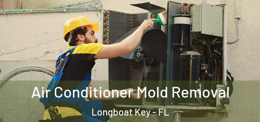  Air Conditioner Mold Removal Longboat Key - FL