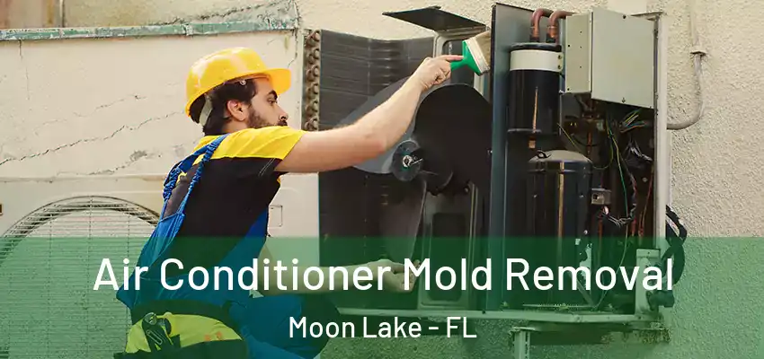  Air Conditioner Mold Removal Moon Lake - FL