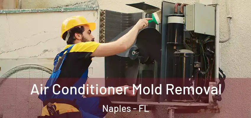  Air Conditioner Mold Removal Naples - FL