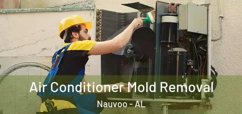  Air Conditioner Mold Removal Nauvoo - AL