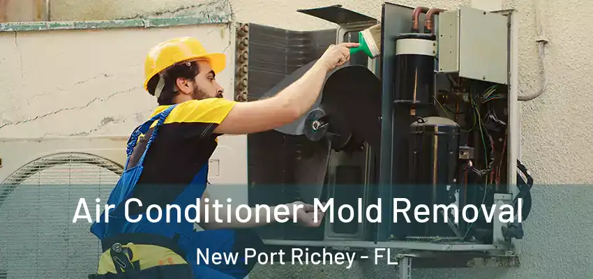  Air Conditioner Mold Removal New Port Richey - FL