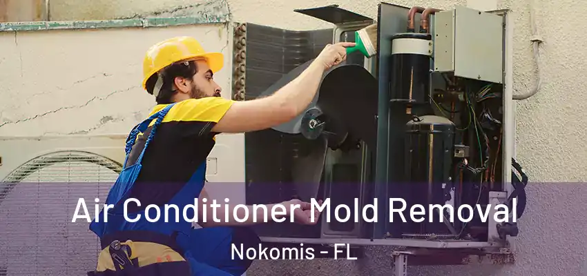  Air Conditioner Mold Removal Nokomis - FL