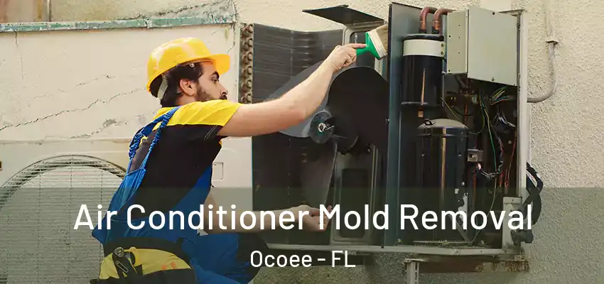 Air Conditioner Mold Removal Ocoee - FL