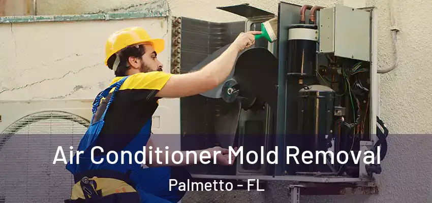 Air Conditioner Mold Removal Palmetto - FL