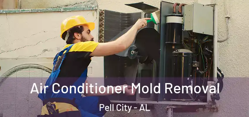 Air Conditioner Mold Removal Pell City - AL
