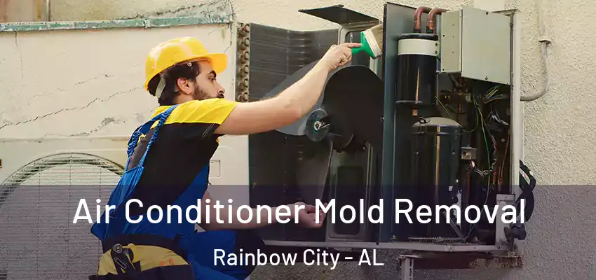Air Conditioner Mold Removal Rainbow City - AL
