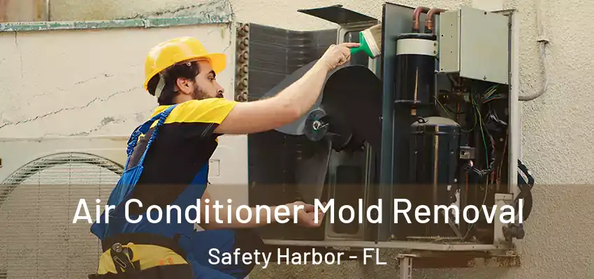  Air Conditioner Mold Removal Safety Harbor - FL