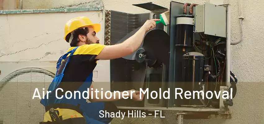  Air Conditioner Mold Removal Shady Hills - FL