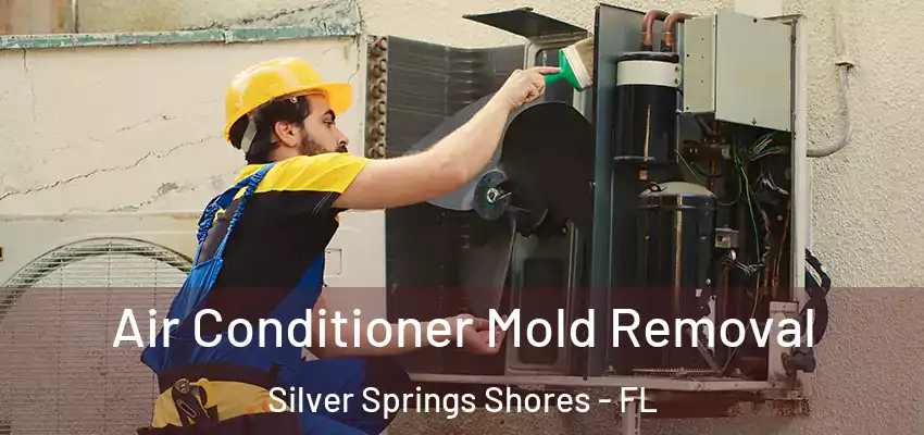  Air Conditioner Mold Removal Silver Springs Shores - FL