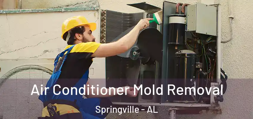 Air Conditioner Mold Removal Springville - AL