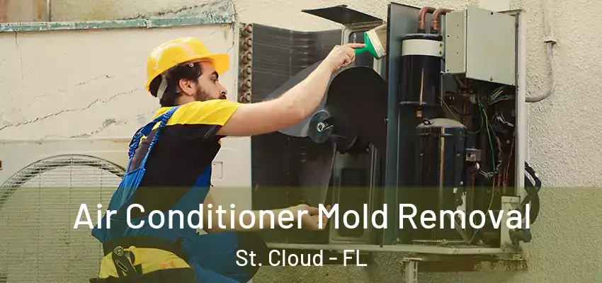  Air Conditioner Mold Removal St. Cloud - FL