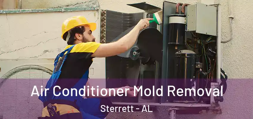  Air Conditioner Mold Removal Sterrett - AL