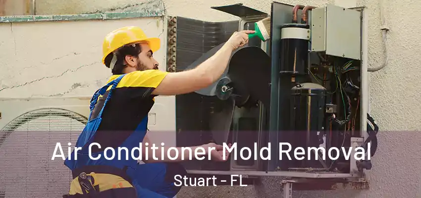  Air Conditioner Mold Removal Stuart - FL