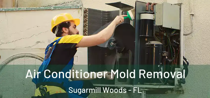  Air Conditioner Mold Removal Sugarmill Woods - FL