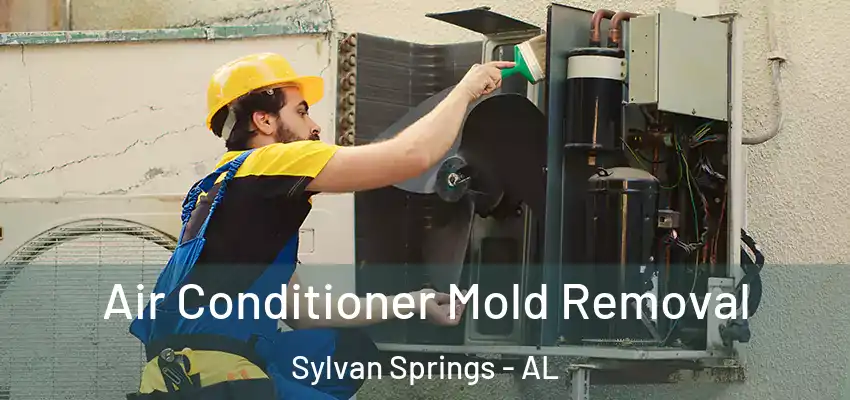  Air Conditioner Mold Removal Sylvan Springs - AL