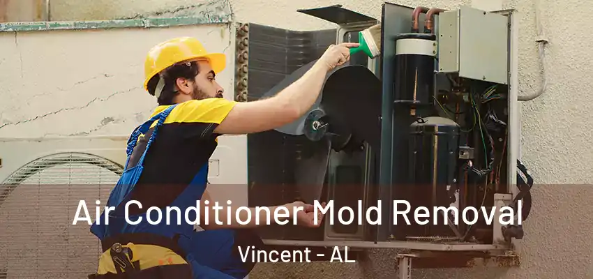  Air Conditioner Mold Removal Vincent - AL