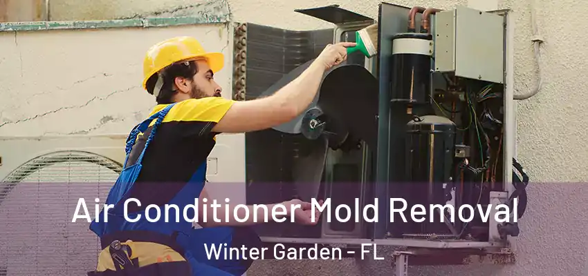  Air Conditioner Mold Removal Winter Garden - FL