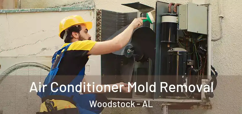  Air Conditioner Mold Removal Woodstock - AL
