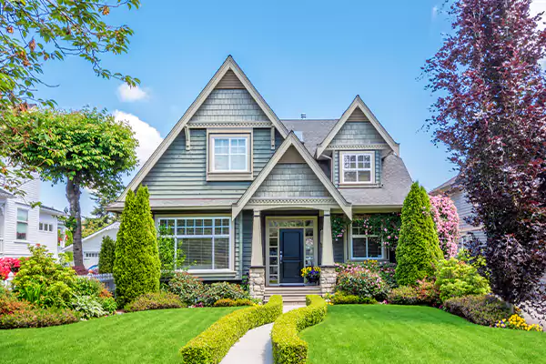 Black Mold Clean Up in Joppa, AL